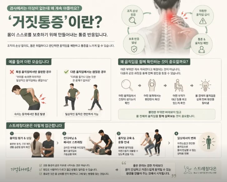 스트레칭다온