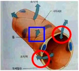 한국피부순환산업진흥원